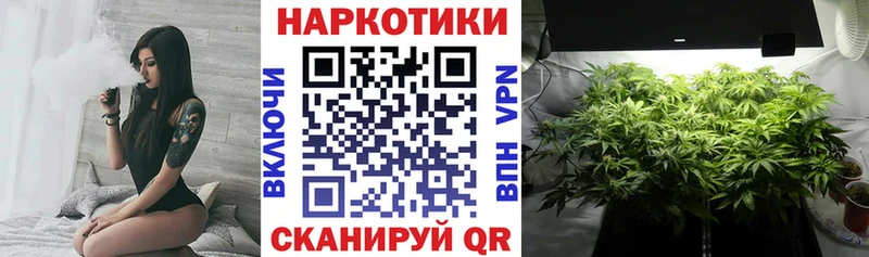Купить наркотик аптеки Тында ГАШИШ  ОМГ ОМГ как зайти  Меф мяу мяу  МАРИХУАНА  НБОМе 