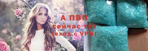 PSILOCYBIN Сатка