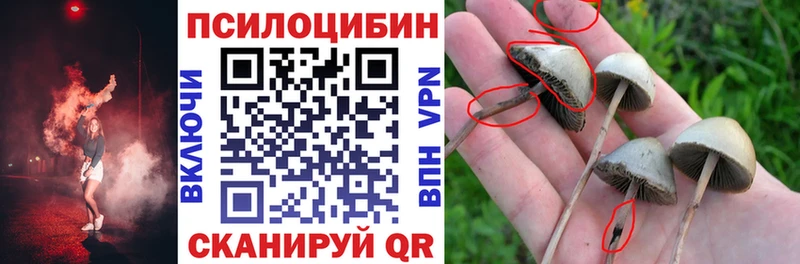 Галлюциногенные грибы Cubensis  даркнет сайт  Тында 