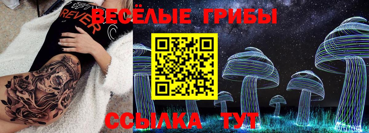 Псилоцибиновые грибы Psilocybe Тында