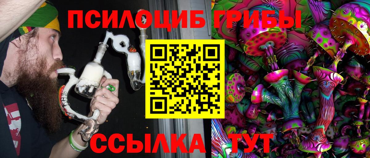 Тында  Псилоцибиновые грибы MAGIC MUSHROOMS  Вход с VPN  Галлюциногенные грибы Cubensis 