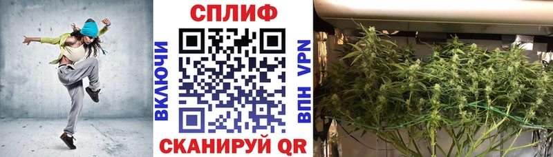 Марихуана марихуана МЕГА ТОР Тында